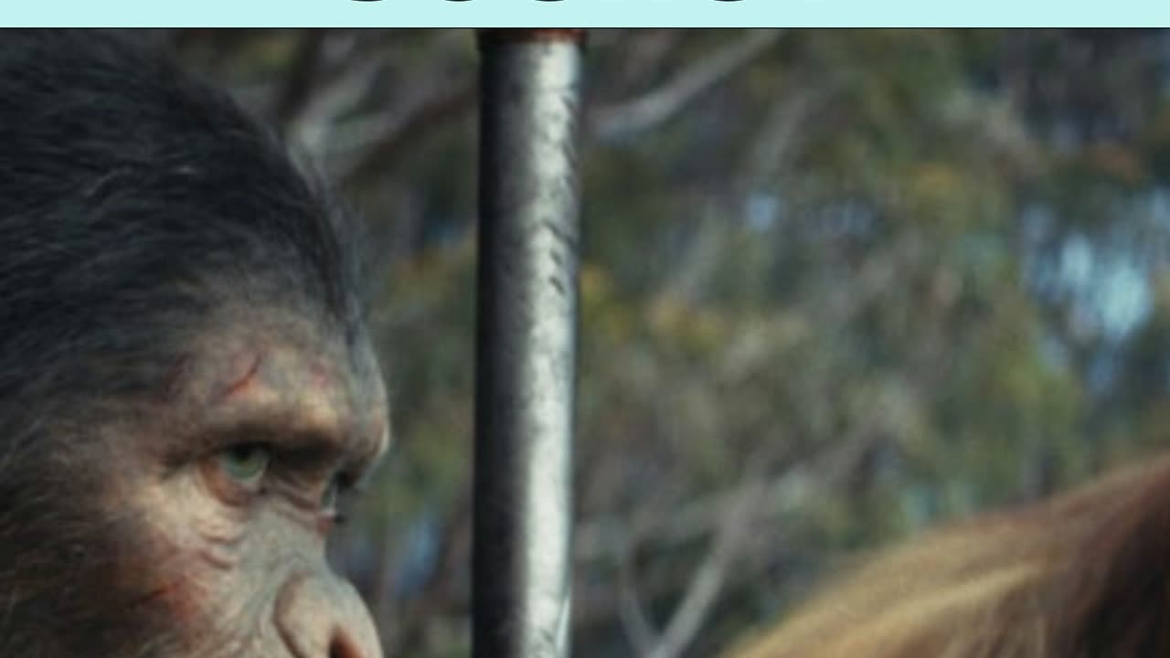 Does Planet Of The Apes Have A Post-Credit Scene?