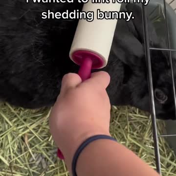 she hurt my feelings