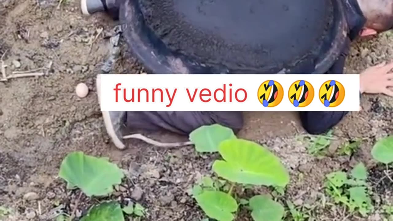 funFunny story