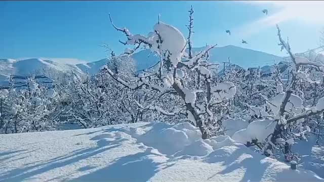 Beautiful view of snow