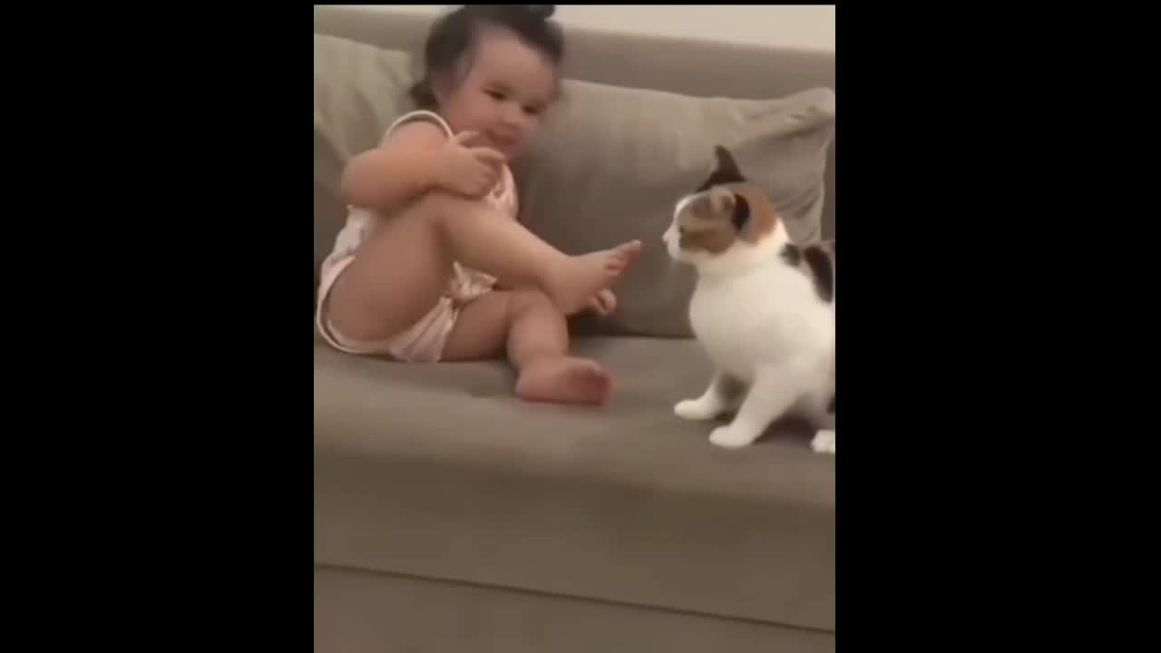 Cute Baby and Cat Playing