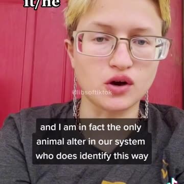 Meet Horus, The Red-Tailed Hawk! 🤣 #shorts