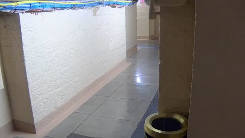 0013USCSBASB10Hallway_2021-01-05_17h00min03s040ms.mp4