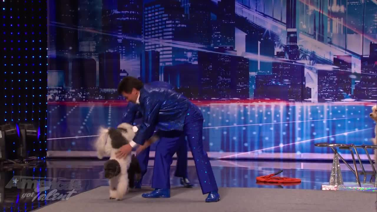 Jump-Roping Dog - Olate Dogs Audition - America's Got Talent Season 7