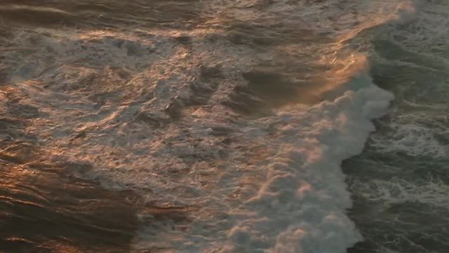Ocean 🌊