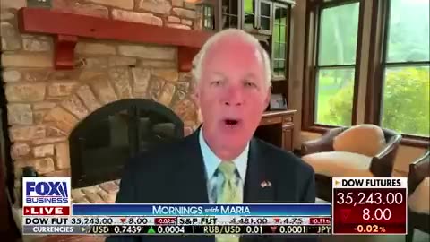 Sen. Ron Johnson drops some serious Covid truth bombs live on Fox News...