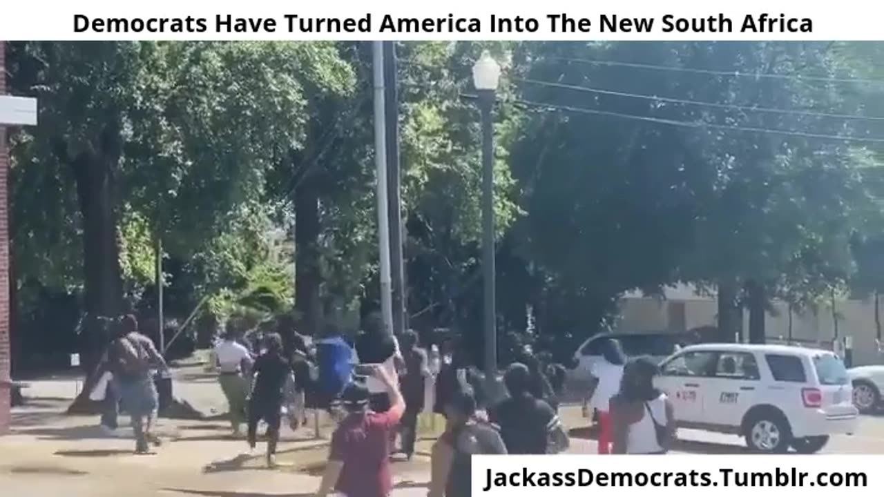 Democrats In Action - The democrats Are Turning America Into The New South Africa