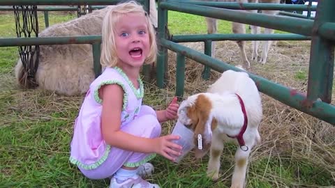 Funny Babies At The Zoo