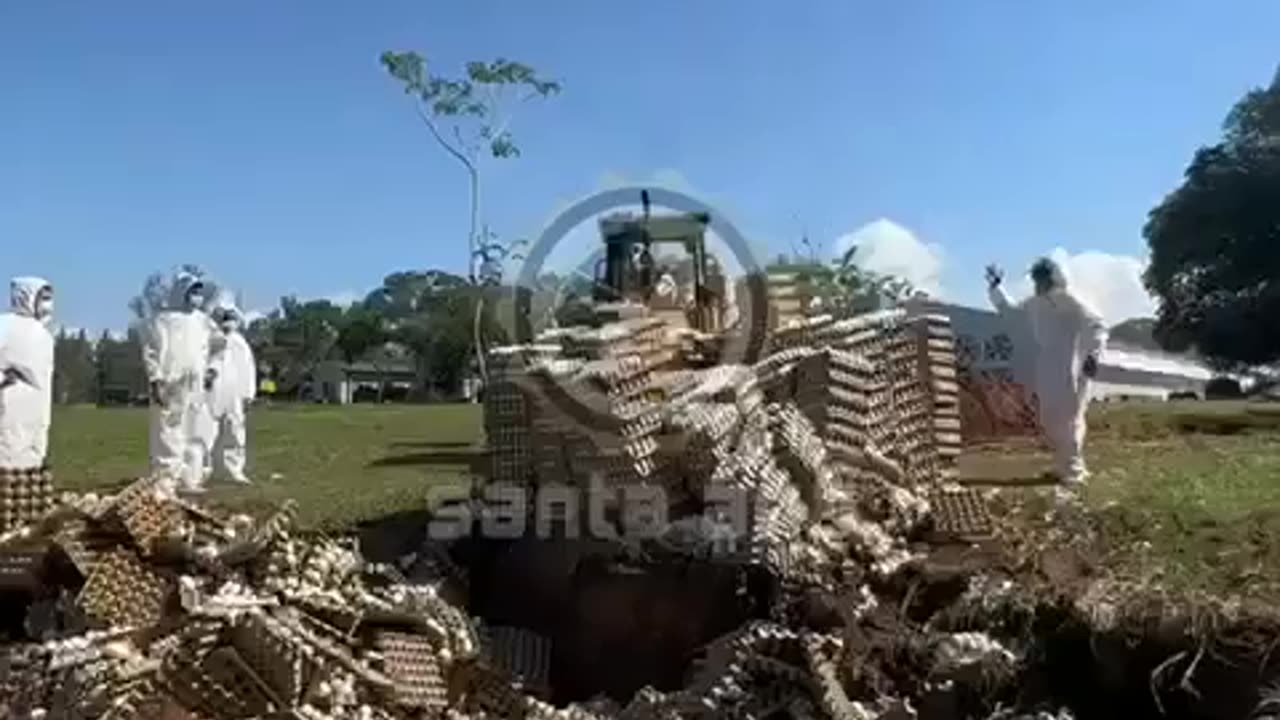 Destruction of food eggs