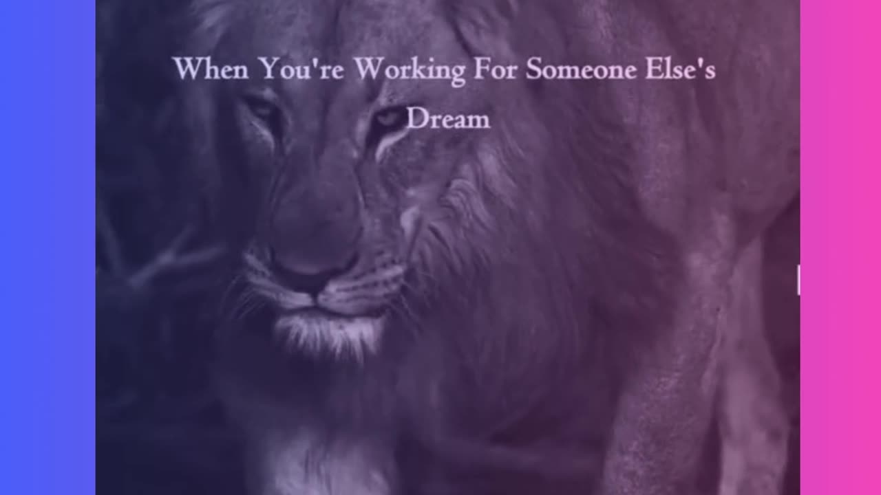 People Want You To Succeed But Not More Than Themselves...