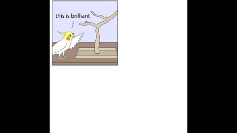 Funny Comics With A Parrot Twist
