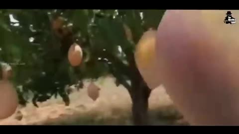 MANGO JUICE... MAKING IN FACTORY