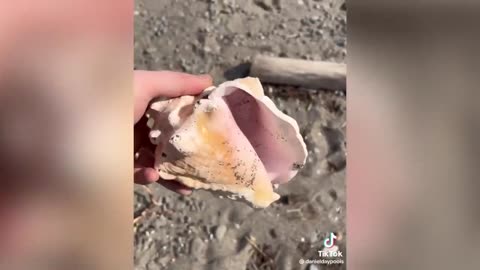 Funny video 😂 extreme $