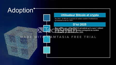 Module 3 : CryptoActifs; Segment 2 : Adoption des cryptos