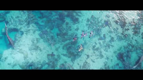Avatar_ The Way of Water _ IMAX Featurette