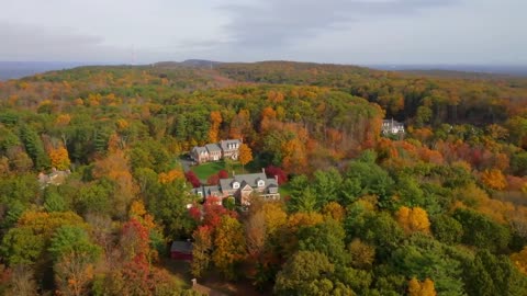 Enchanting Autumn Forests with Beautiful Piano Music