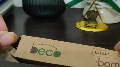 Environment friendly tooth brush