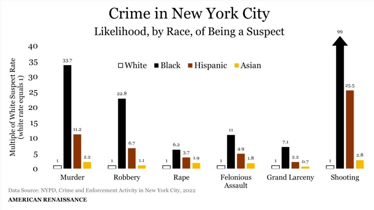 BIPOCS Destroying New York City (not to mention Illegal Alien Invaders)