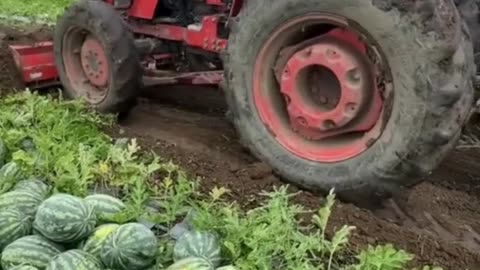 Labor-saving farming techniques for a more efficient farm! 🌾💡 #AgriTech