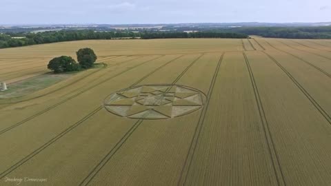 2 NEW CROP CIRCLES DISCOVERED IN WINCHESTER HAMPSHIRE ENGLAND