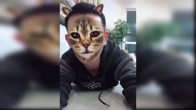 Funniest video cat ever! Try not to laugh