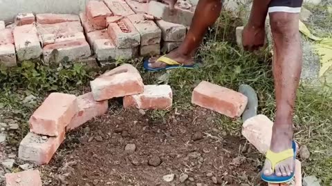 Planting cucumber