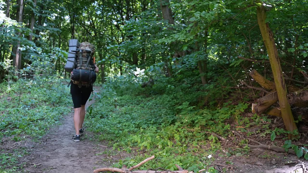 Girl alone in the forest