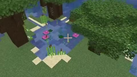 Pond at Different Times (World's Smallest Violin)