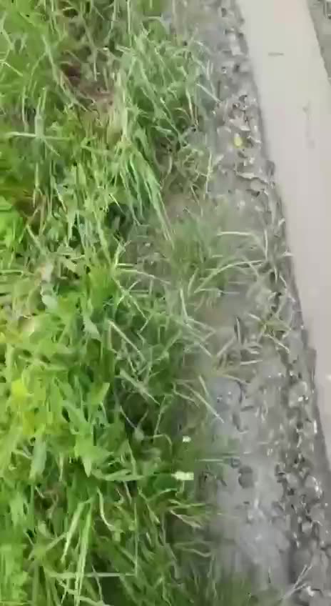 The video from the frontline. The main factor to start the counterattack is the weather…