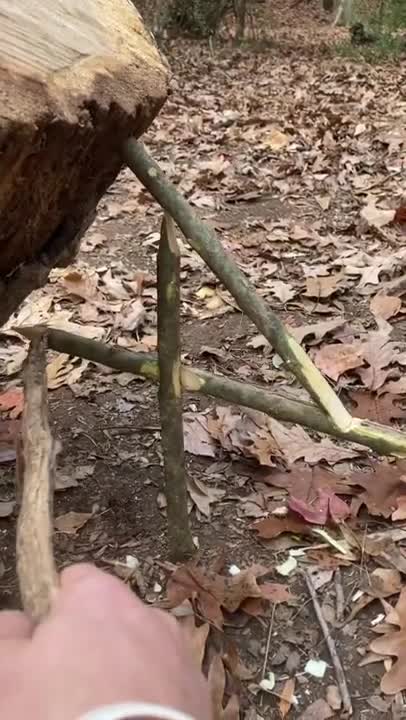 Figure 4 deadfall trap