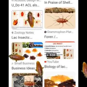 CHISSA COSA HANNO MESSO IN QUESTE MERENDINE