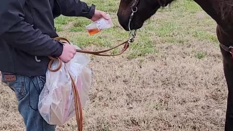 Horses Have Hankering For Fast Food