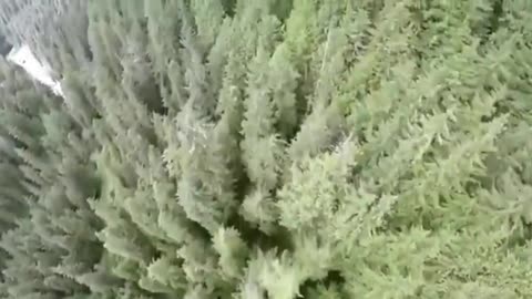 THE 13 BIGGEST SCIENCE LIES