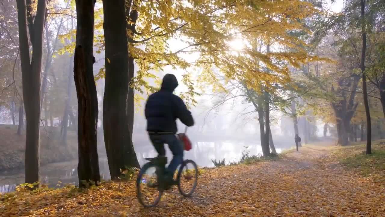 Enchanting Autumn Forests with Beautiful Piano Music