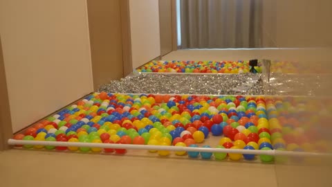 Ballpool Obstacle Course Challenge