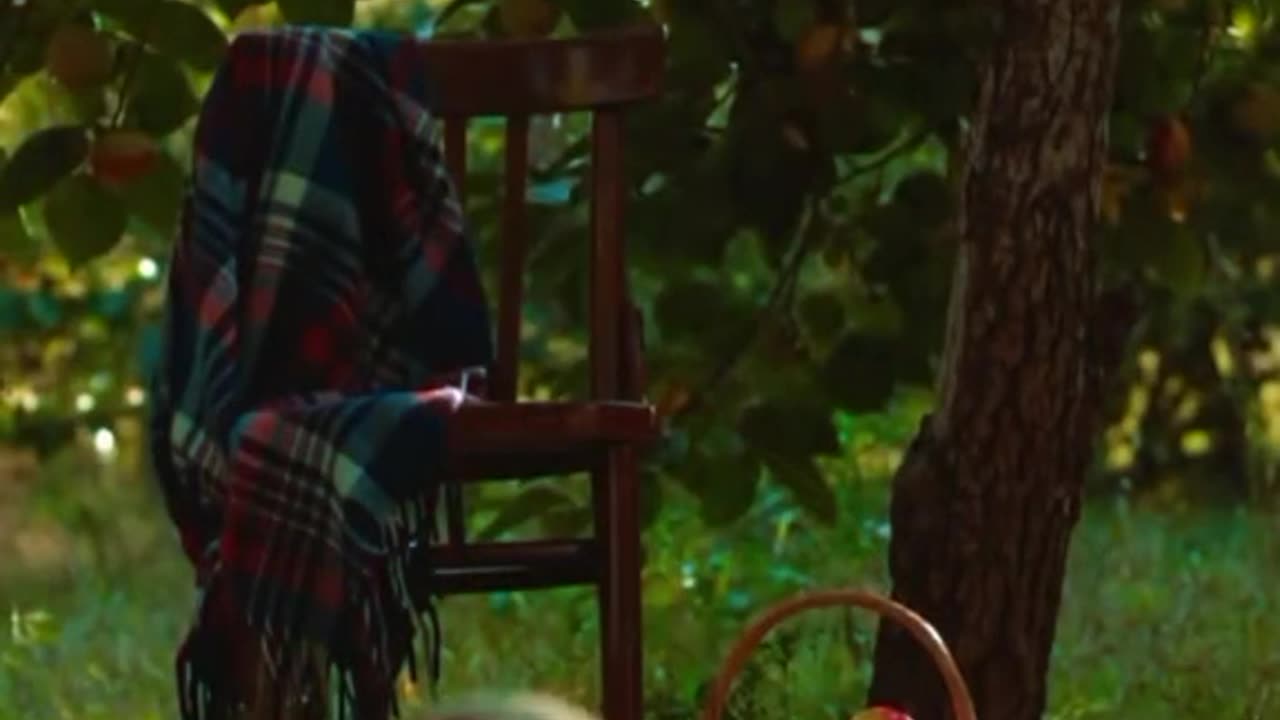 Beautiful cool music video relaxing and enjoyable 😀