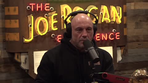 What ChatGPT Could Mean for the Future of Artificial Intelligence Joe Rogan Experience