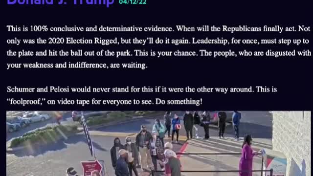 Voting 'Mules' violating Georgia Law on Video