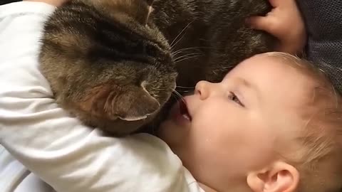 Adorable Baby Chats