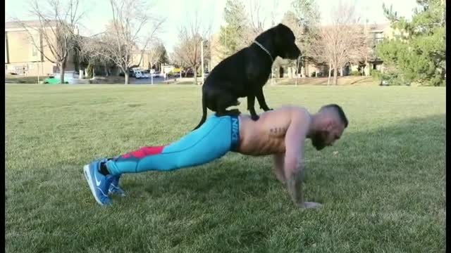 Jugador profesional de la MMA entrena con la ayuda de su perro