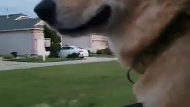 He seems to have lost something very important.