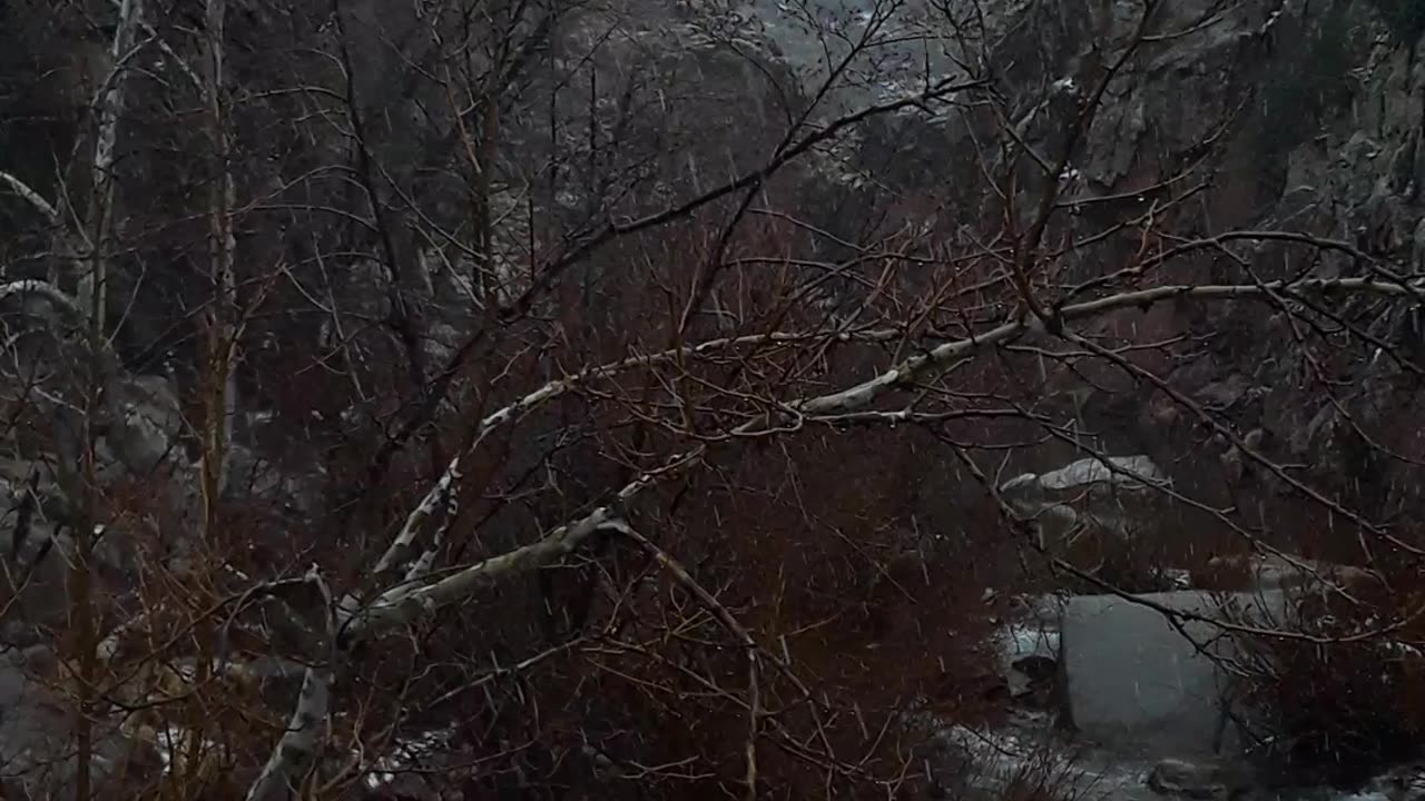 God's creative ability is on FULL display in Arizona on a snowy 2/14/23