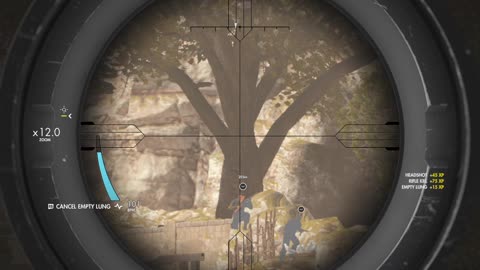 Sniper Elite