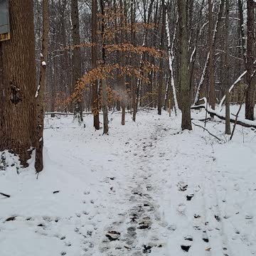 4k hd first snowfall in michigan.