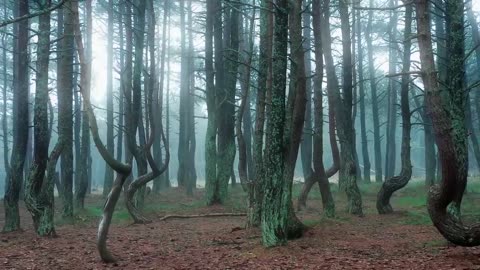 Enigmatic Earth: Unraveling the 15 Most Puzzling Mysteries of Science