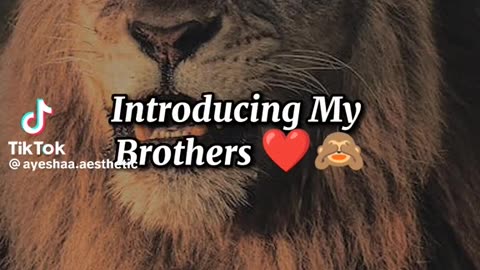 Happy brother day