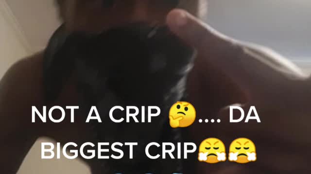 NOT CRIP BIG CRIP