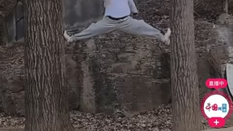 Kung Fu Master