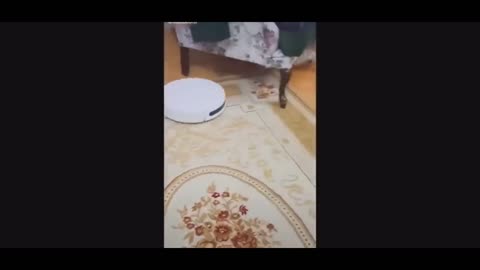 What the hell scared me