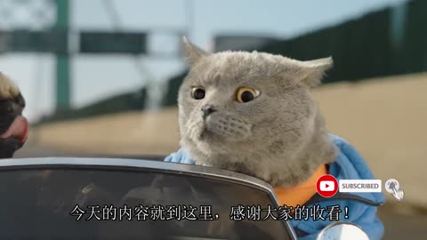 The cleverness of animals can be so terrifying